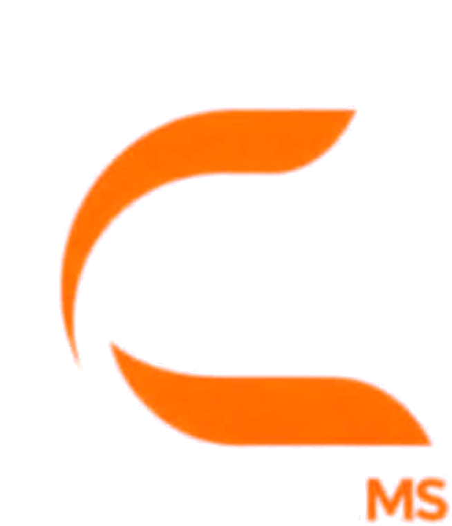 Consulting MS